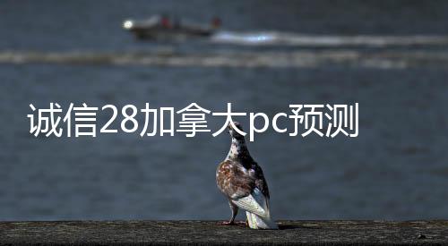 诚信28加拿大pc预测准确率100%网站（诚信28加拿大pc预测准确率100%网站飞牛）